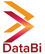 Data Bi
